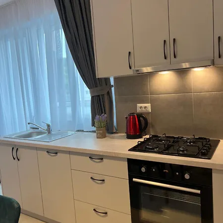 Luxury Sunny Apartments Near City Center Suceava Extérieur photo