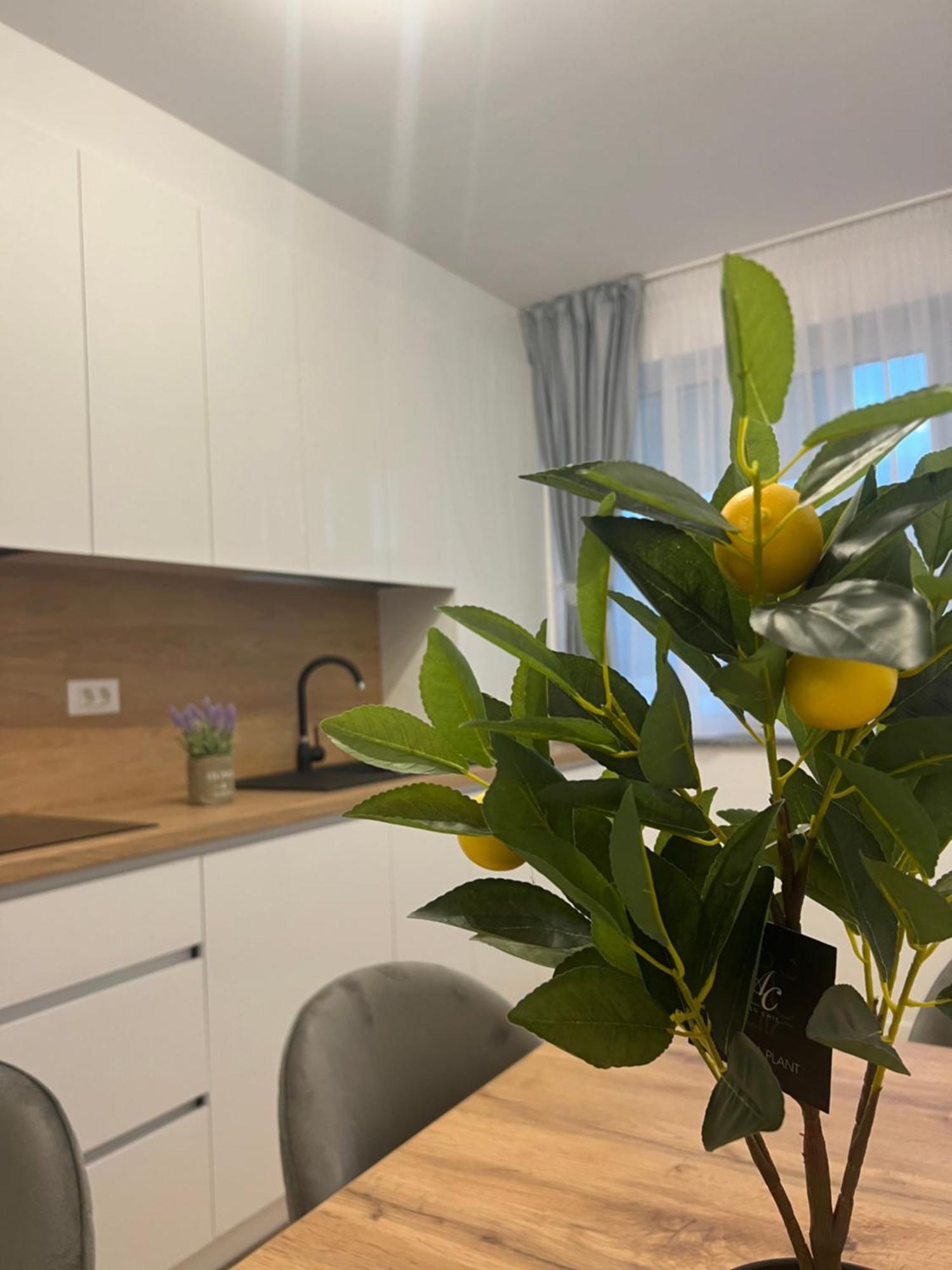 Appartement Luxury Sunny Near Center